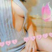 ヒメ日記 2025/03/21 10:16 投稿 春陽萌花 プルデリR40