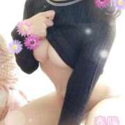 春陽萌花 明日29日のお昼♥ プルデリR40