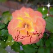 ヒメ日記 2025/05/15 17:45 投稿 春陽萌花 プルデリR40滋賀店