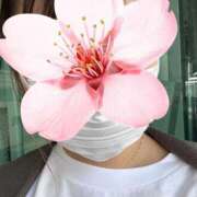 ヒメ日記 2025/03/28 11:49 投稿 さき Felice(フェリス)