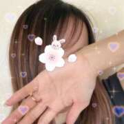 ヒメ日記 2025/04/16 09:33 投稿 さき Felice(フェリス)