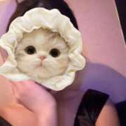 ヒメ日記 2026/04/10 11:39 投稿 さき Felice(フェリス)