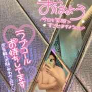 ヒメ日記 2025/03/21 11:32 投稿 さら ちゃんこ幕張店