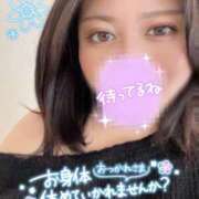 ヒメ日記 2025/04/09 17:07 投稿 さら ちゃんこ幕張店