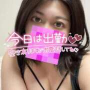 ヒメ日記 2025/04/19 08:01 投稿 さら ちゃんこ幕張店