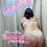 ヒメ日記 2025/04/25 17:56 投稿 さら ちゃんこ幕張店