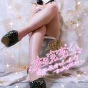 ヒメ日記 2025/05/07 00:45 投稿 さら ちゃんこ幕張店