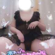 ヒメ日記 2025/12/10 06:30 投稿 さら ちゃんこ幕張店