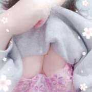 ヒメ日記 2026/03/06 12:05 投稿 さら ちゃんこ幕張店