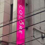 ヒメ日記 2025/04/02 17:32 投稿 音琴（ねごと） 丸妻 錦糸町店