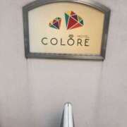 ヒメ日記 2025/04/14 13:24 投稿 音琴（ねごと） 丸妻 錦糸町店