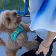 ヒメ日記 2025/07/23 15:01 投稿 音琴（ねごと） 丸妻 錦糸町店