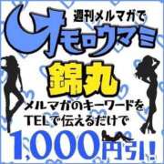 ヒメ日記 2025/08/17 09:50 投稿 音琴（ねごと） 丸妻 錦糸町店