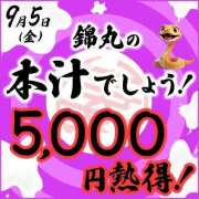 ヒメ日記 2025/09/03 13:02 投稿 音琴（ねごと） 丸妻 錦糸町店