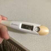 ヒメ日記 2025/02/18 13:07 投稿 シホ(奥方) 奥様幕府