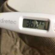 ヒメ日記 2025/02/19 12:27 投稿 シホ(奥方) 奥様幕府