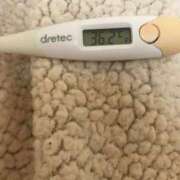 ヒメ日記 2025/02/20 10:27 投稿 シホ(奥方) 奥様幕府