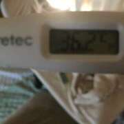 ヒメ日記 2025/02/21 10:27 投稿 シホ(奥方) 奥様幕府