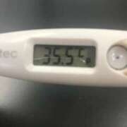 ヒメ日記 2025/03/06 14:37 投稿 シホ(奥方) 奥様幕府