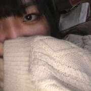 ヒメ日記 2025/03/07 20:27 投稿 シホ(奥方) 奥様幕府