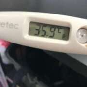 ヒメ日記 2025/03/09 12:37 投稿 シホ(奥方) 奥様幕府