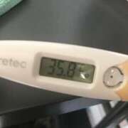 ヒメ日記 2025/03/10 14:37 投稿 シホ(奥方) 奥様幕府