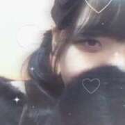 ヒメ日記 2025/03/13 17:27 投稿 シホ(奥方) 奥様幕府