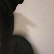 ヒメ日記 2025/03/14 02:56 投稿 シホ(奥方) 奥様幕府