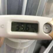 ヒメ日記 2025/03/21 14:39 投稿 シホ(奥方) 奥様幕府