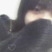 ヒメ日記 2025/03/21 16:27 投稿 シホ(奥方) 奥様幕府