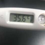 ヒメ日記 2025/03/27 14:17 投稿 シホ(奥方) 奥様幕府