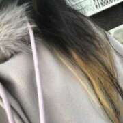 ヒメ日記 2025/03/27 16:31 投稿 シホ(奥方) 奥様幕府