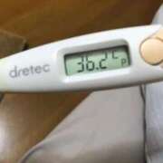 ヒメ日記 2025/09/02 14:07 投稿 シホ(奥方) 奥様幕府