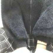 ヒメ日記 2025/09/04 16:57 投稿 シホ(奥方) 奥様幕府