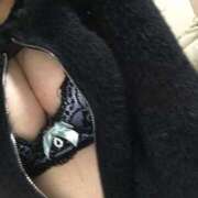 ヒメ日記 2025/09/06 04:57 投稿 シホ(奥方) 奥様幕府