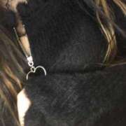 ヒメ日記 2025/09/06 22:47 投稿 シホ(奥方) 奥様幕府