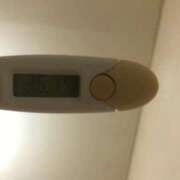 ヒメ日記 2025/09/08 13:27 投稿 シホ(奥方) 奥様幕府