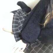 ヒメ日記 2026/03/28 02:20 投稿 シホ(奥方) 奥様幕府