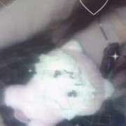 ヒメ日記 2026/03/29 00:27 投稿 シホ(奥方) 奥様幕府