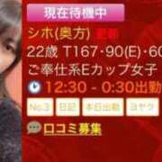 ヒメ日記 2026/03/30 23:47 投稿 シホ(奥方) 奥様幕府