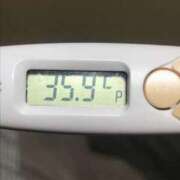 ヒメ日記 2026/03/31 12:37 投稿 シホ(奥方) 奥様幕府