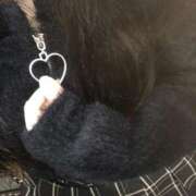 ヒメ日記 2026/03/31 14:37 投稿 シホ(奥方) 奥様幕府