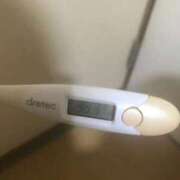 ヒメ日記 2026/04/01 12:37 投稿 シホ(奥方) 奥様幕府