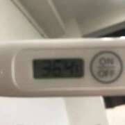ヒメ日記 2026/09/20 13:33 投稿 シホ(奥方) 奥様幕府