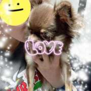 ヒメ日記 2025/03/26 00:15 投稿 みづき 新橋夜這右衛門娼店～夜這・即尺・痴漢・人妻～