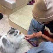 ヒメ日記 2025/03/26 13:30 投稿 みづき 新橋夜這右衛門娼店～夜這・即尺・痴漢・人妻～