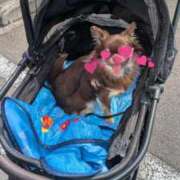 ヒメ日記 2025/06/29 17:08 投稿 みづき 新橋夜這右衛門娼店～夜這・即尺・痴漢・人妻～