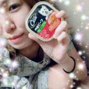 ヒメ日記 2025/07/01 14:45 投稿 みづき 新橋夜這右衛門娼店～夜這・即尺・痴漢・人妻～