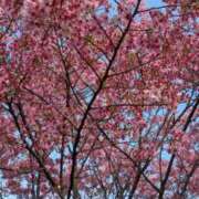 ヒメ日記 2026/03/30 21:13 投稿 みづき 新橋夜這右衛門娼店～夜這・即尺・痴漢・人妻～