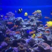 ヒメ日記 2025/05/28 09:35 投稿 ゆりん 素人妻御奉仕倶楽部Hip's取手店